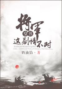 将军 番外