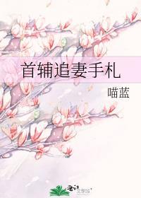 首辅追妻手札全文阅读