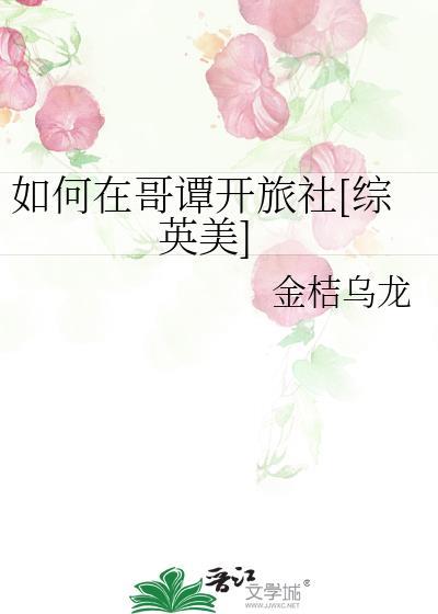 如何在哥谭开旅社[综英美