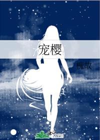 宠樱by槐故免费阅读全文