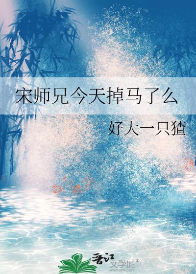 宋师傅病了的消息