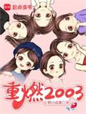 重燃2003完整无错版TXT