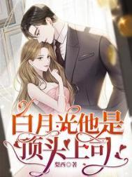 白月光是他的妹妹知乎