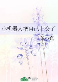 小机器人把自己上交了TXT