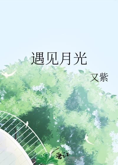 遇见月光by又紫免费