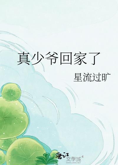 真少爷回家了by星流过旷免费阅读