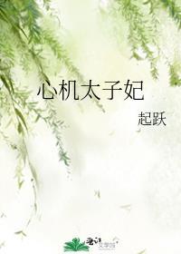 心机太子妃 起跃txt