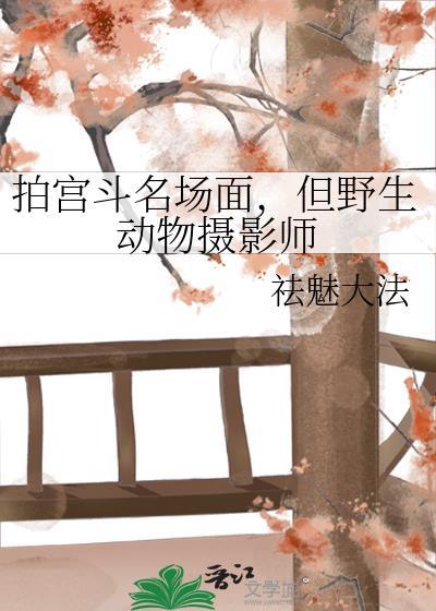 拍摄野生动物违法吗
