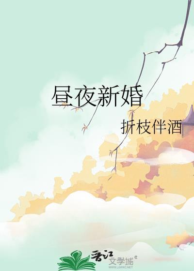 昼夜连绵漫画婚礼