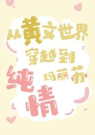 穿越到了小黄文里怎么办