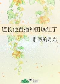 直播道长别