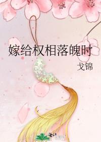 嫁给首辅这个老男