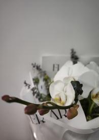 我的未婚妻最柒