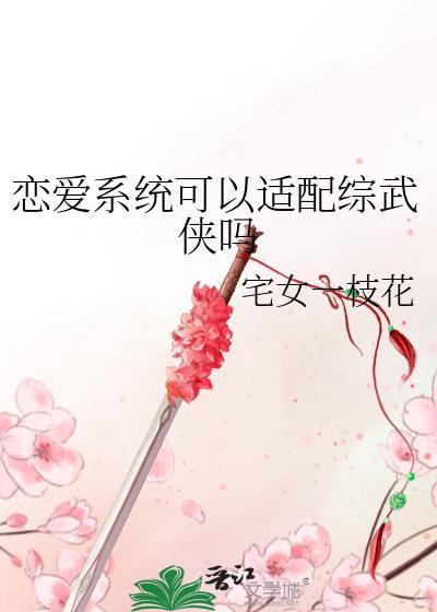 恋爱系统可以适配综武侠吗宅女一枝花