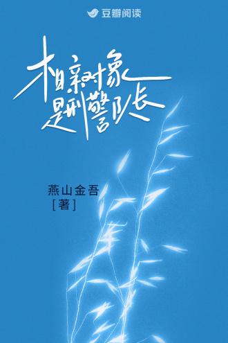 相亲对象是刑警队长宋魅江鹭