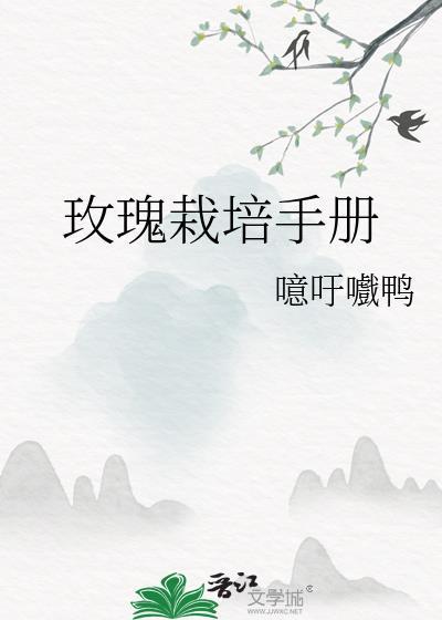 玫瑰花栽培过程
