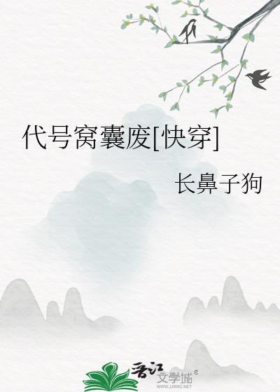 代号13×29