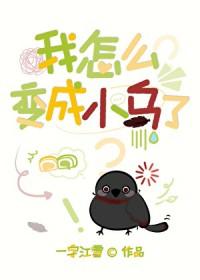 刀剑乱舞同人文包