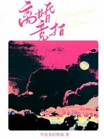 离婚竞拍免费阅读