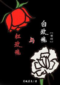 红玫瑰与白玫瑰的花语和寓意