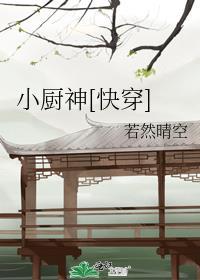 小厨神快穿百度
