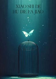 消失的蝴蝶发夹大结局