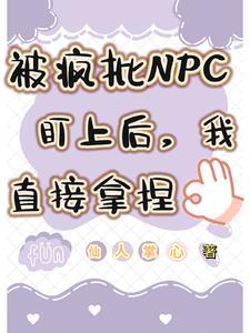 被npc头子看上后我炸了系统