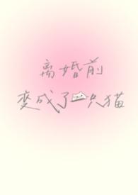 离婚前变成了一只猫by谁又偷猫肉完整