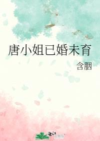唐小姐已婚未育讲的是什么故事