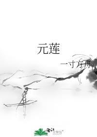 元莲青洪湖藕酒