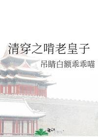 清穿之啃老皇子全本