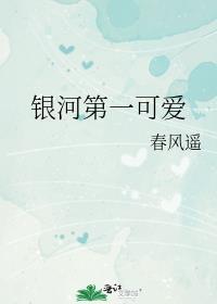 银河第一纪元男主