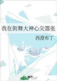 作者西澄布丁