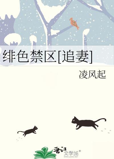 绯色禁区追妻明绯宴西叙凌风起作者
