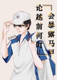 越前是什么意思