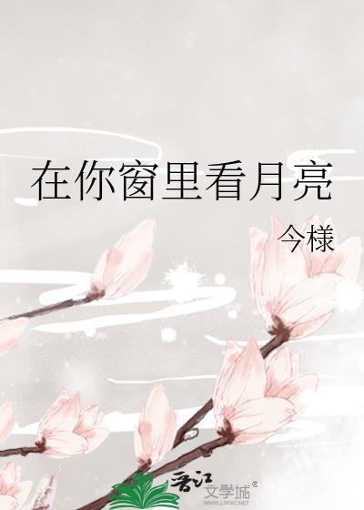 在你窗里看月亮txt全文