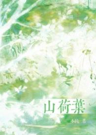 山荷叶的图片大全