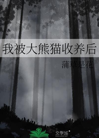 被认养的大熊猫