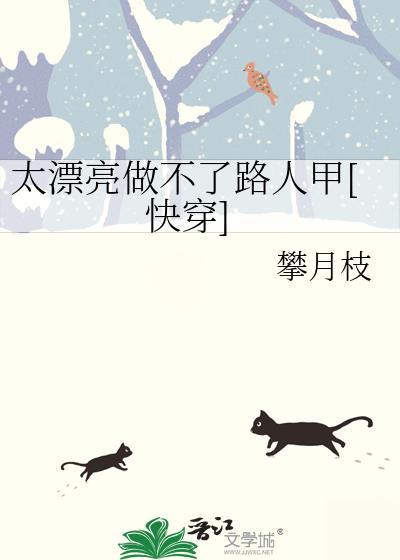 太漂亮了吧