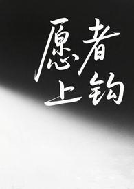 愿者上钩