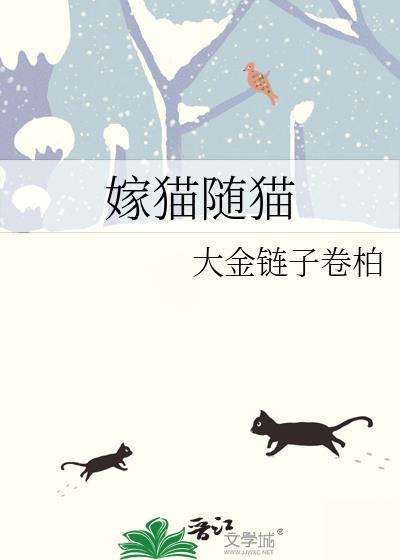 嫁祸给猫