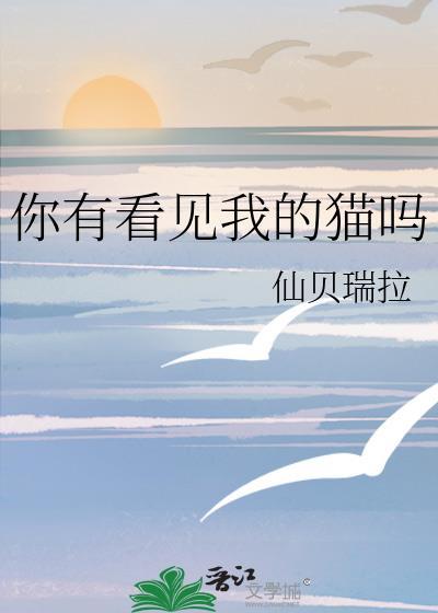 你有看见我的猫吗免费阅读