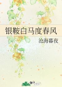 武陵年少金市东