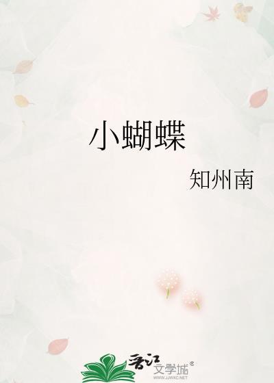 小蝴蝶歌词