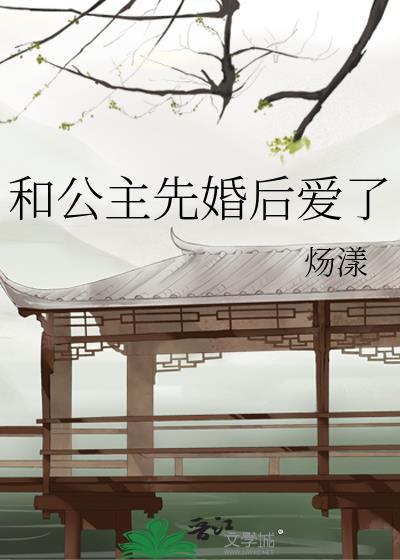 公主与将军先婚后爱的电视剧