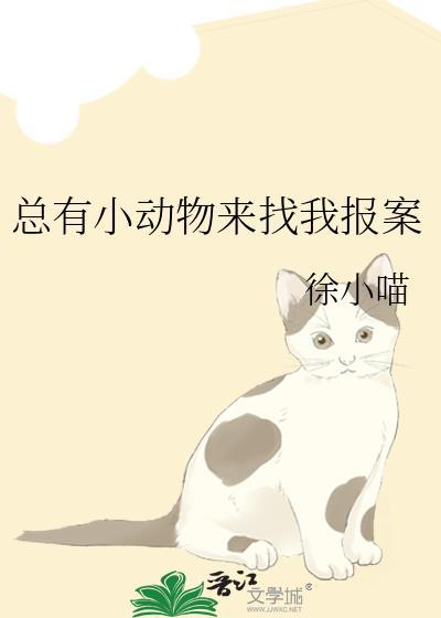 总有小动物来找我报案txt