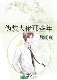 伪装大佬那些年类似的