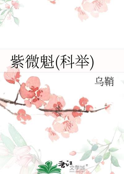 紫微详解