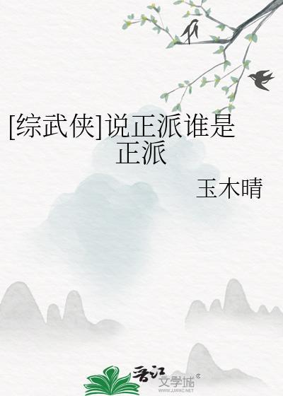综武侠说正派谁是正派木玉晴