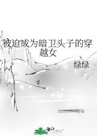 被迫成为暗卫头子的穿越女百度